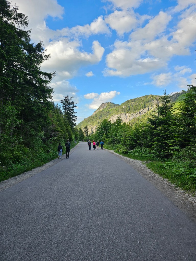 An asphalt road through a wood, with tall mountains in the background, leading to Morskie Oko, Tatra Mountains, Poland
