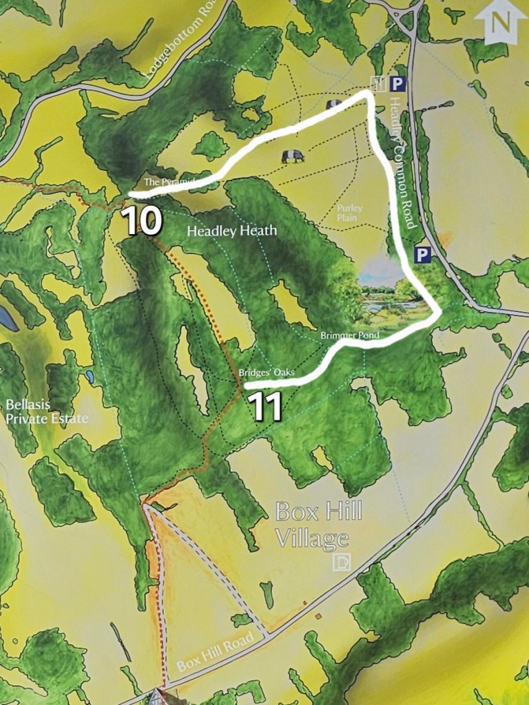 Map of the extended Box Hill hike - part 10
