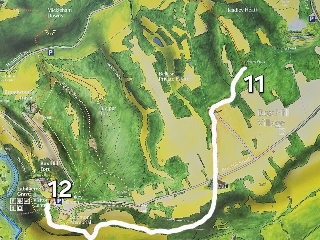 Map of the extended Box Hill hike - part 11