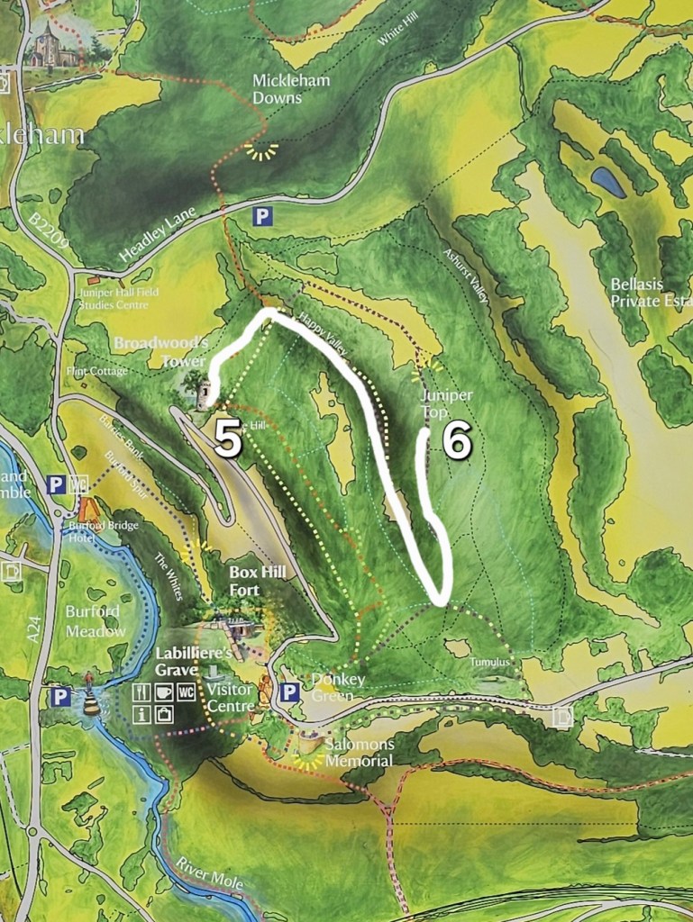 Map of the extended Box Hill hike - part 5