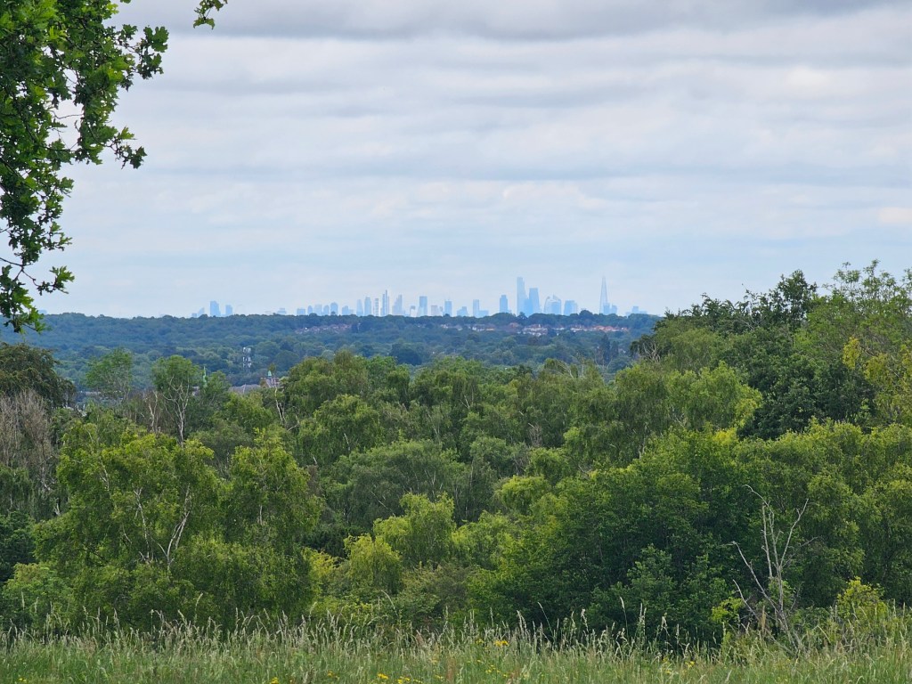 London skyline seen from a viewpoint in Norbury Park, Surrey