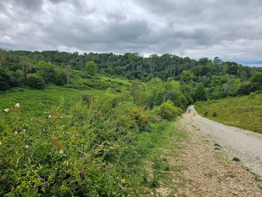 Gravel path in Headley Heath