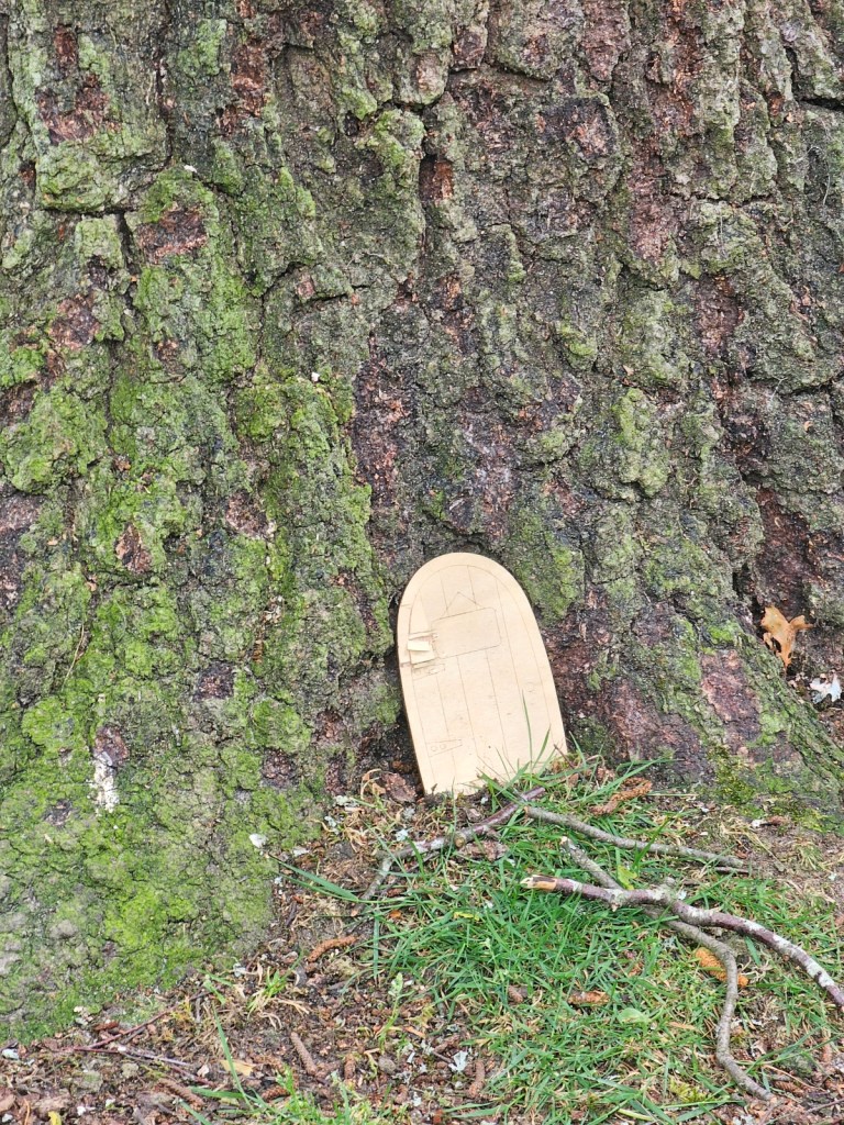 Small wooden door placed in the roots of a tree
