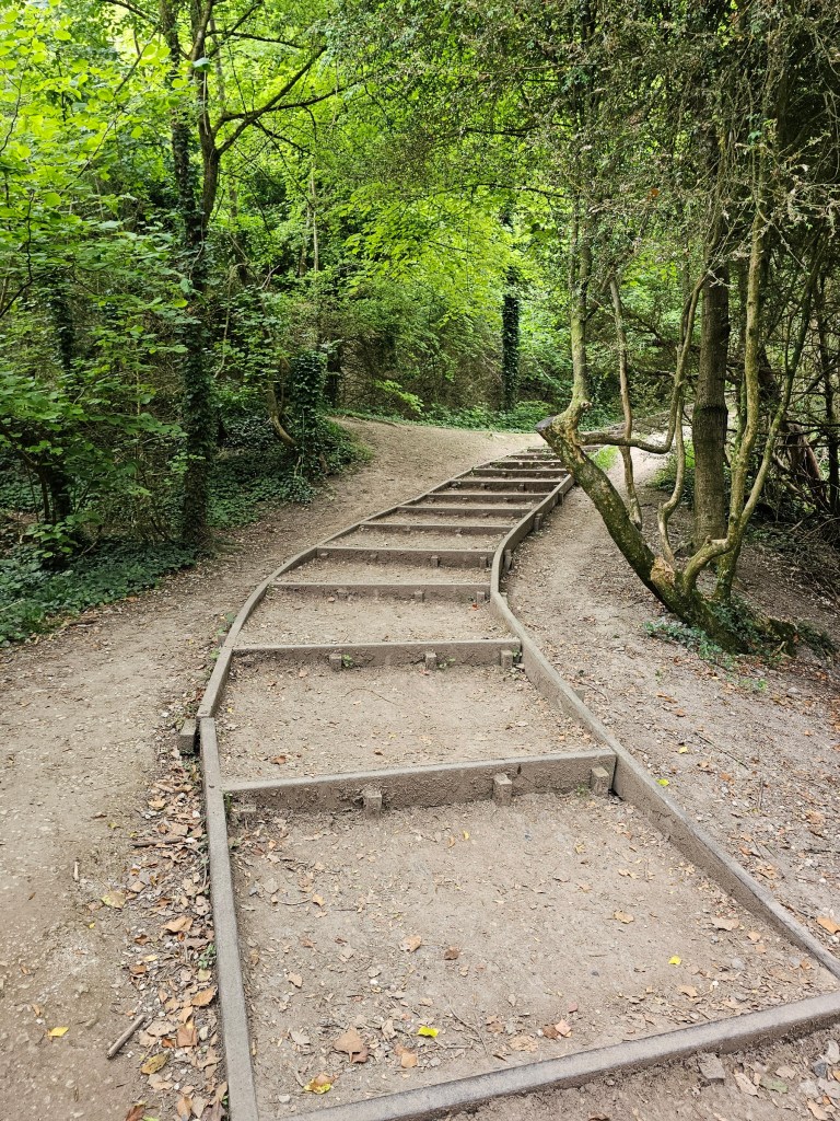 Steps on an uphill path through a forest