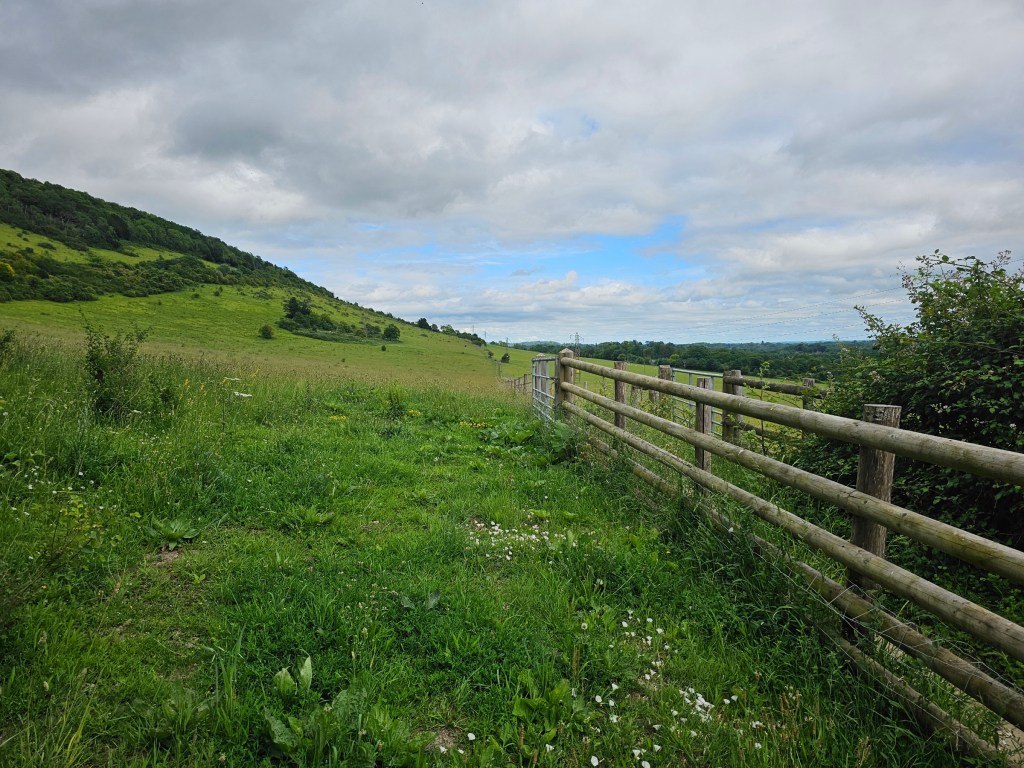 A field on the box hill hike route