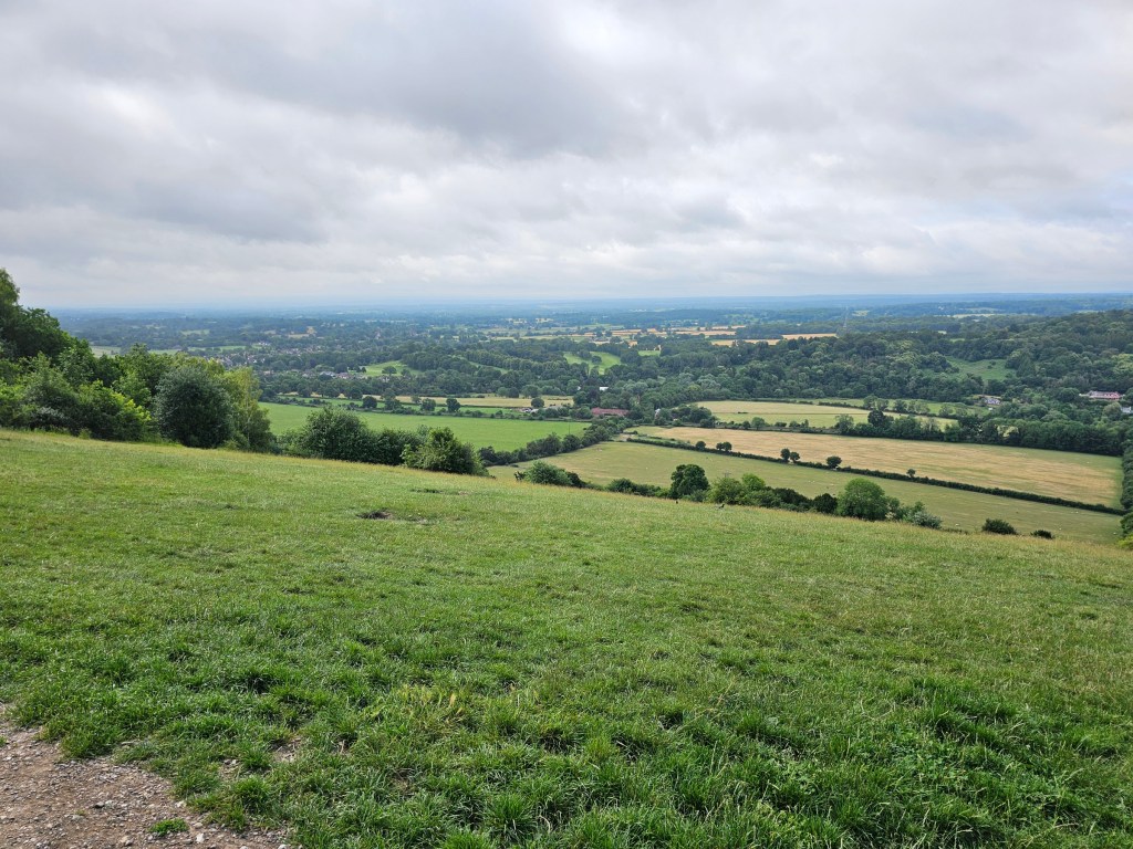 The view from the top of Box Hill, Surrey