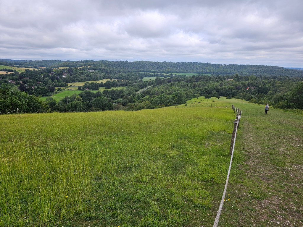 Viewpoint in Surrey Hills