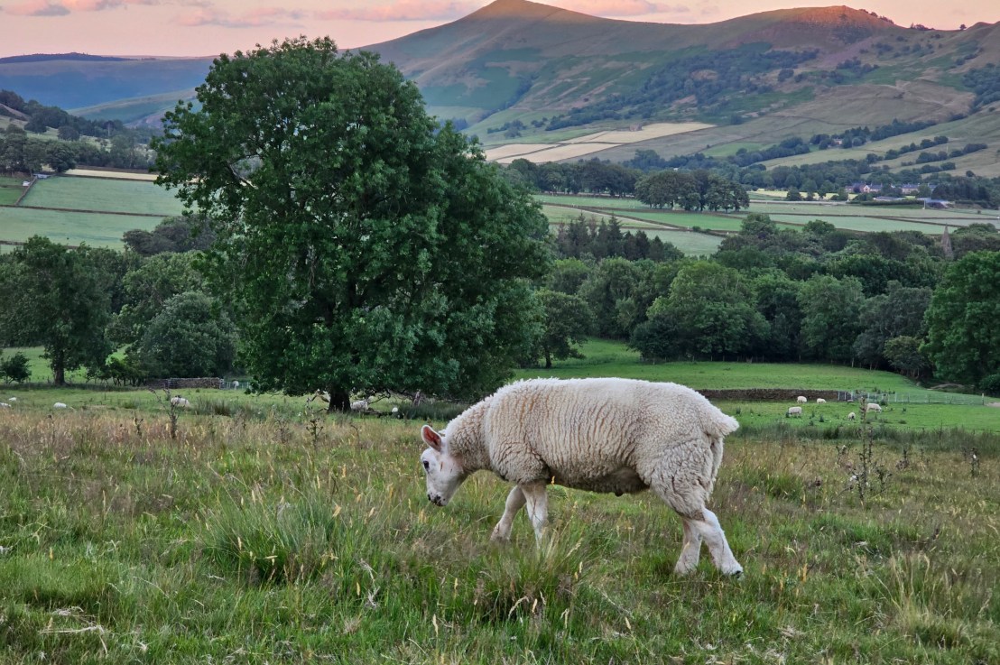 Evening Hike Near Edale, Peak District – Grindslow Knoll, Woolpacks – Day Trip&nbsp;Hike