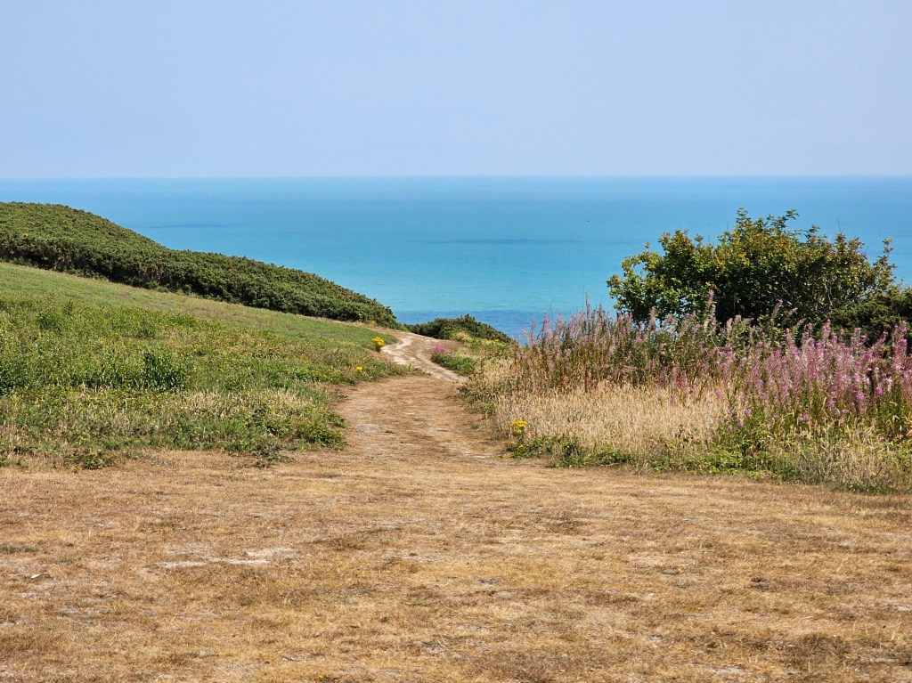 A countryside area near Fairlights, with the sea visible in the distance