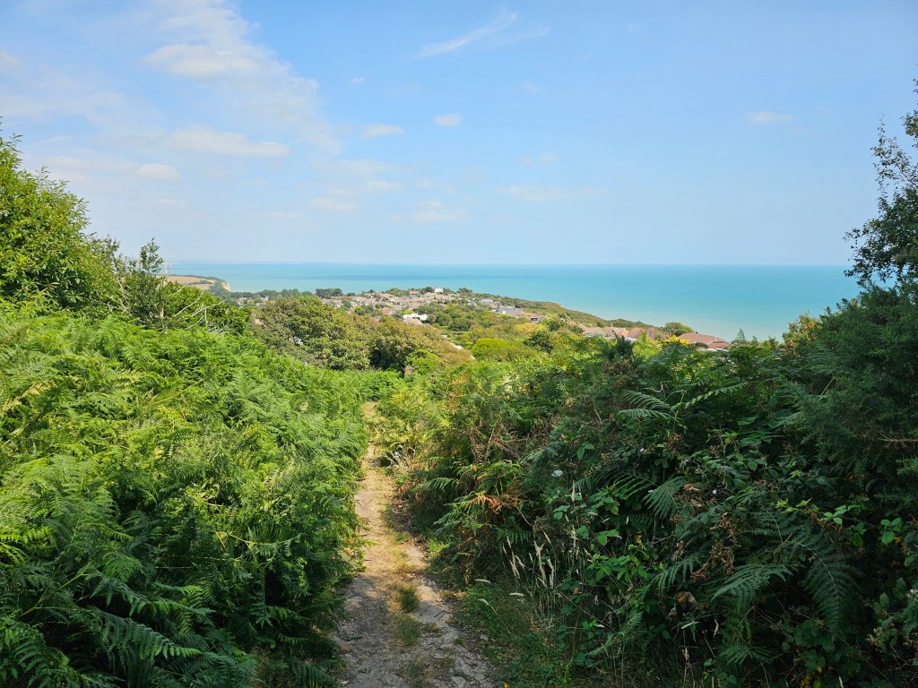 A countryside path with ferns on both sides. A village and the sea can be seen in the distance