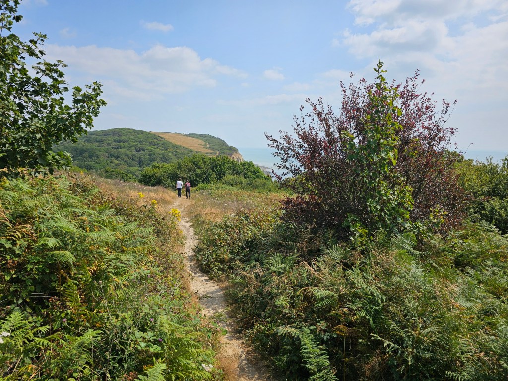 A countryside path on top of a cliff, with the sea visible on the right
