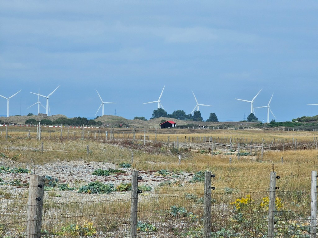 The iconic red roof hut of Rye Harbour with a wind farm in the background