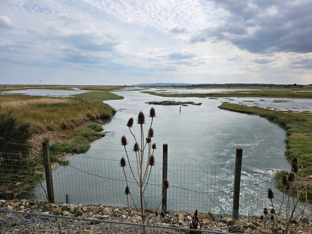 Vast wetlands of Rye Harbour Nature Reserve