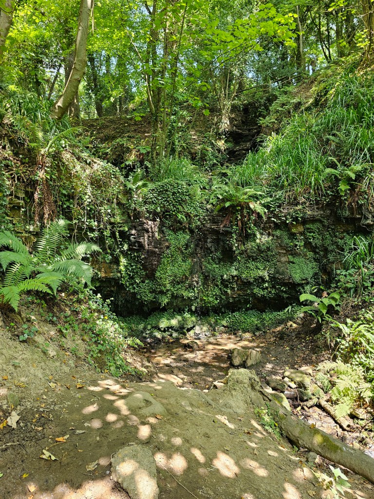 A small waterfall in the woodland of Hastings Country Park