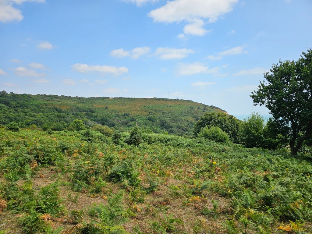 The tops of the cliffs of Hastings Country Park. The visitor centre can be seen on top of a cliff on the horizon