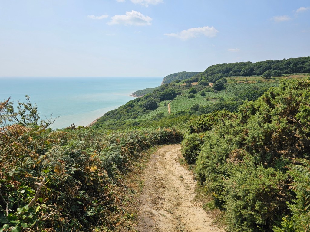A path through the bushes on top of a cliff in Hastings Country Park