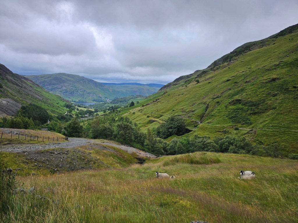 Green hills in a valley between Glenridding and Helvellyn A few sheep rest on the grass.