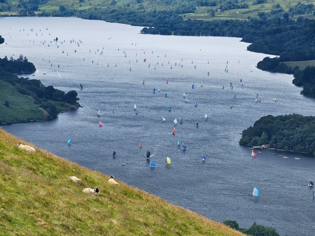 A large lake with lots of sailboats