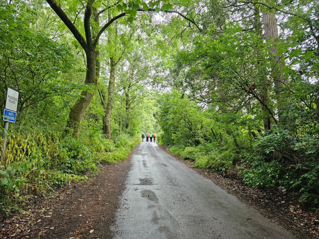 An asphalt road with bushes on both sides. Some hikers can be seen walking on the road in the distance