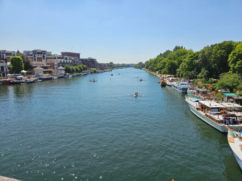 Wide river Thames seen from Kingston Bridge in summer weather. There's a rowing race on the river. Boats are parked on the side of the river, and the sky is blue.