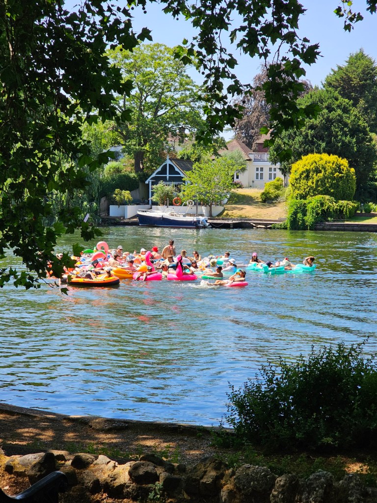 A pool party in the Thames in west London. About two dozen people swimming in the river with colourful inflatables