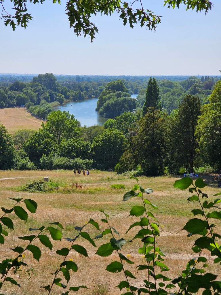 A view from Richmond Hill in London. You can see the curve of River Thames.