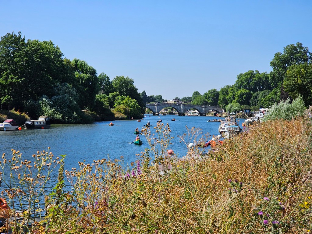 River Thames in west London with lots of people in small boats. The weather is great - there's a blue sky with no clouds.