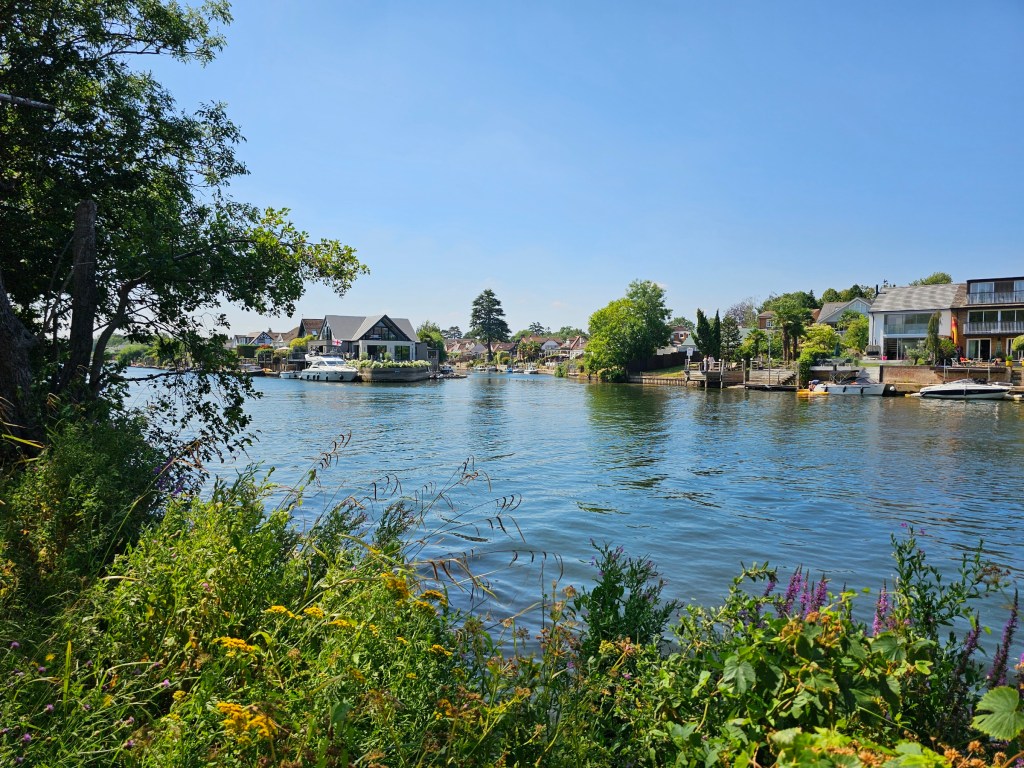 River Thames in west London. There are flowers on one side of the river, and modern houses with river access on the other side.