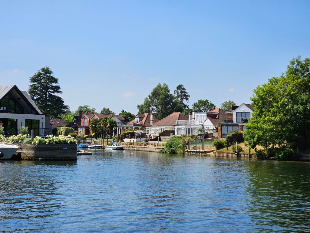 Houses with river Thames access in west London, seen from across the river. The houses are modern, with palm trees in the gardens