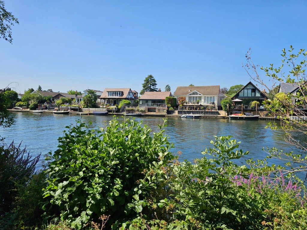 Rows of houses in west London overlooking River Thames, with private access to the river - seen from the other side of the Thames