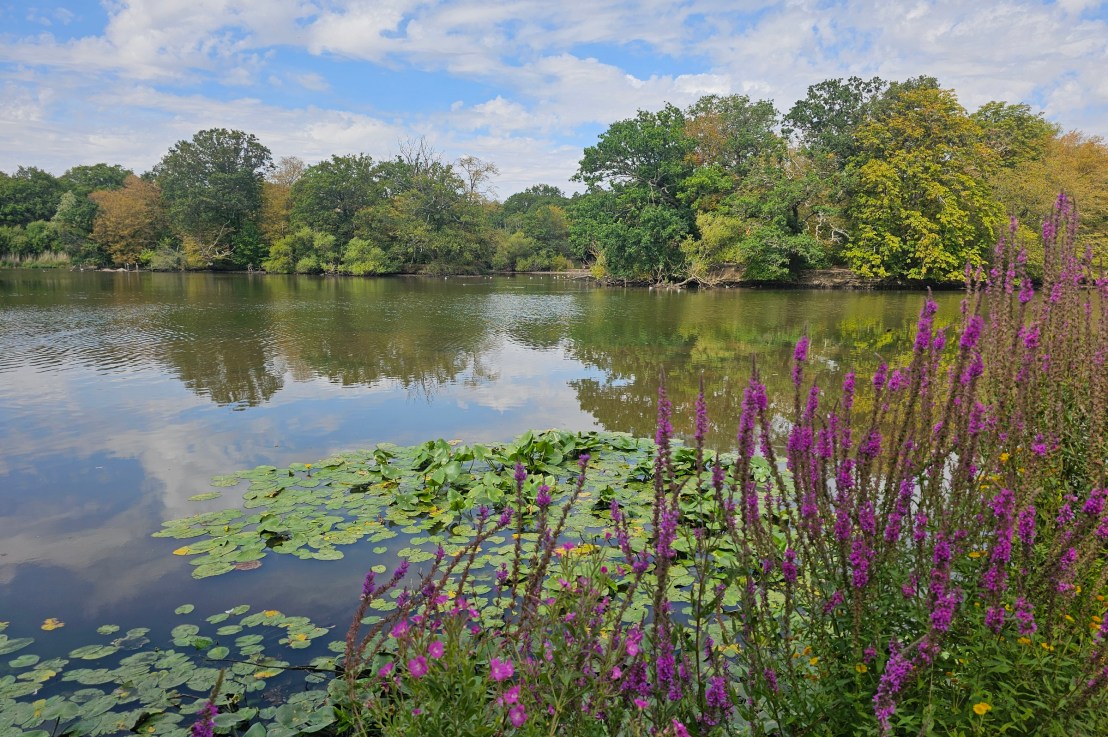 A Walk In Epping Forest – London Woodland – Nature Walks In&nbsp;London