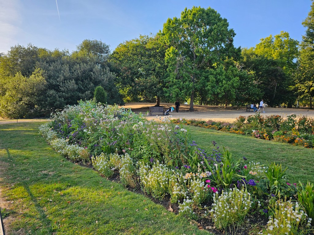 Rose garden in Hyde Park, London, in the summer. The grass is green and there are colourful flowers in the flower bed