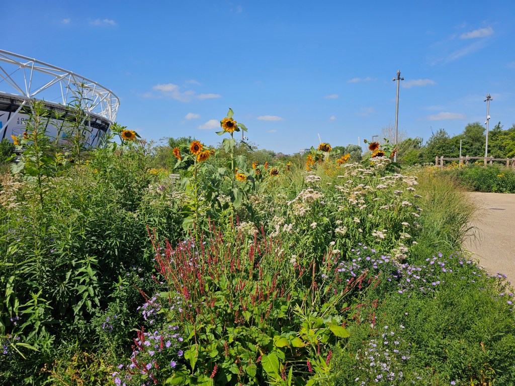 Colourful flowers in front of West Ham stadium in the Olympic Park, London