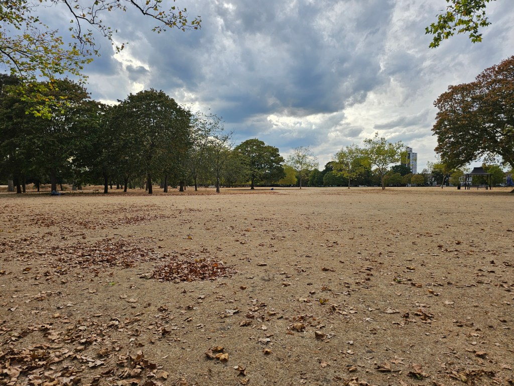 London park after a long period of drought. There is no grass left, just dry hay. Trees are still green, though some have lost leaves.