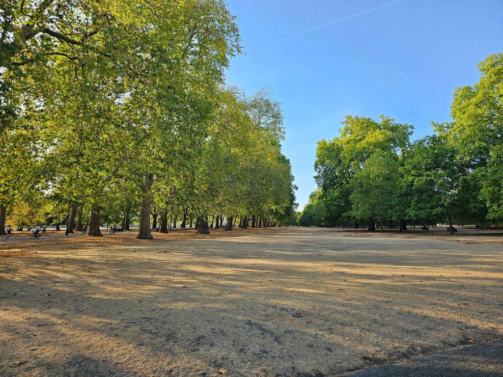 London park after a long period of drought. There is no grass left, just dry hay. Trees are still green, and the sky is blue.