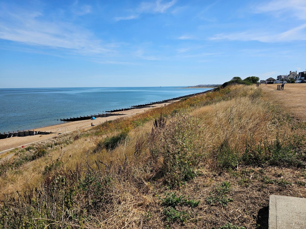 The sea and the beach near Whitstable, seen from the top of a hill