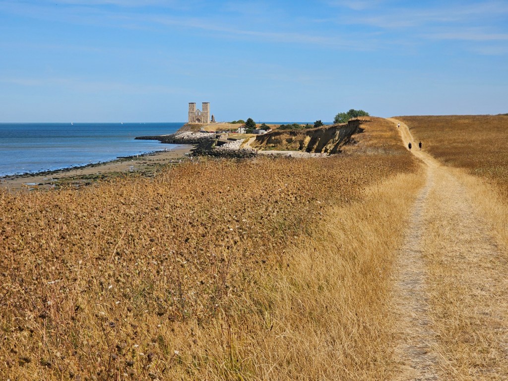 A long footpath and ruins of Reculver Fort on the horizon. The tall grass on both sides of the path is burnt yellow. The sea can be seen on the left.