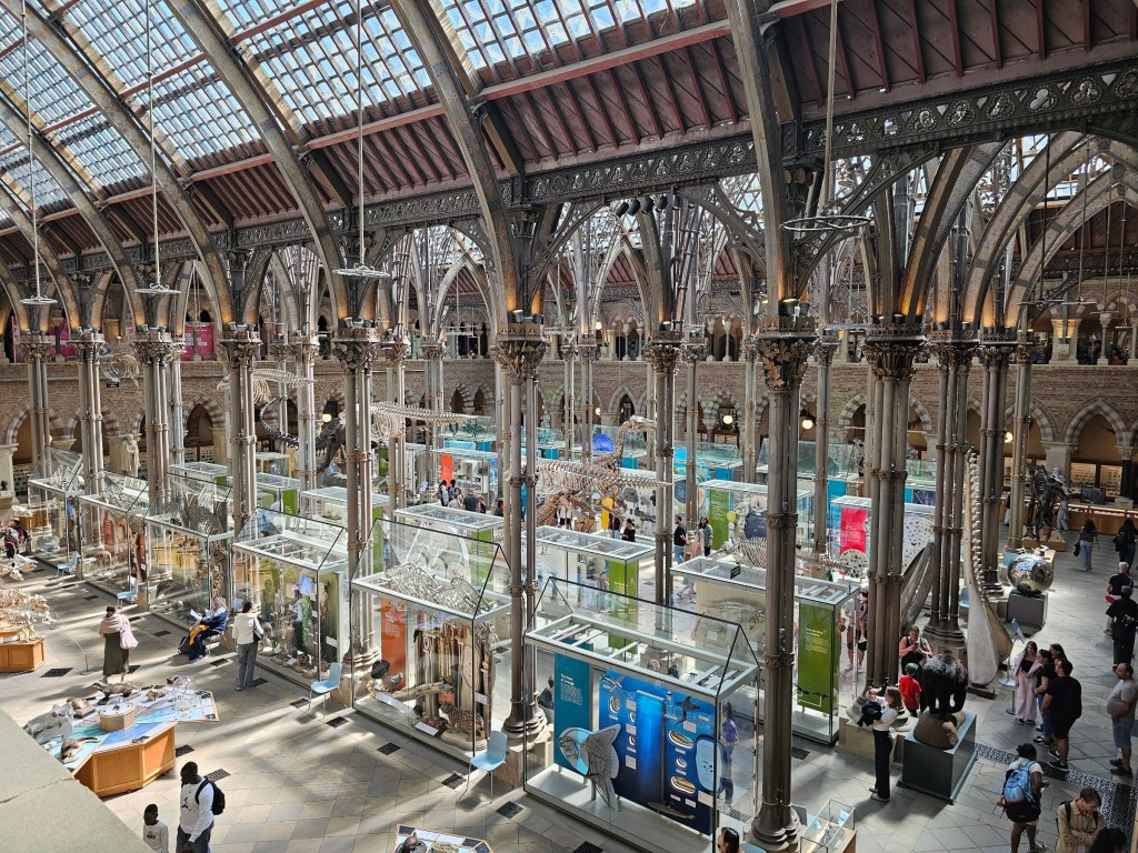 View of the main hall of Oxford Natural History Museum, seen from the top floor