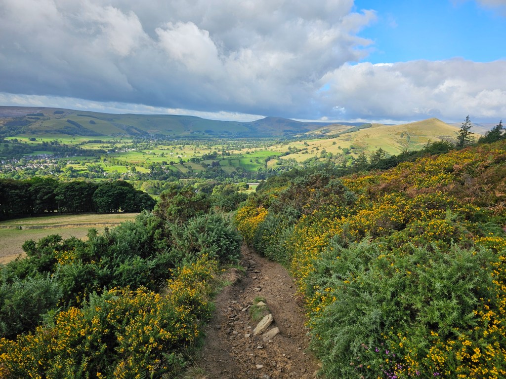 Descent from Winn Hill to Hope. There's a path with small bushes on both sides.